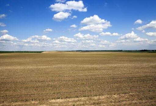 Bikaner Agriculture Land